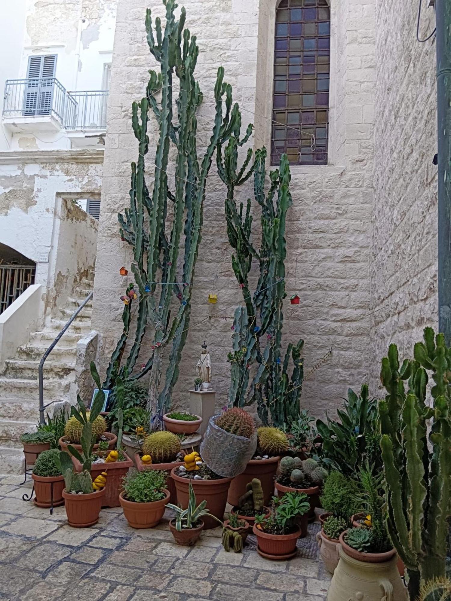 Palazzoliva - Luxury Boho Chic Guest House In The Historic Heart Of Martina Franca Exterior photo